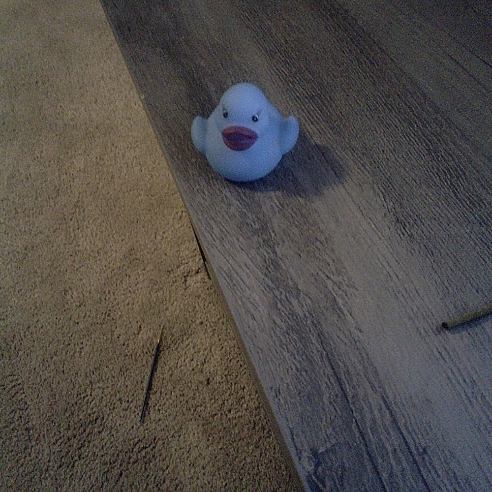 A rubber duck